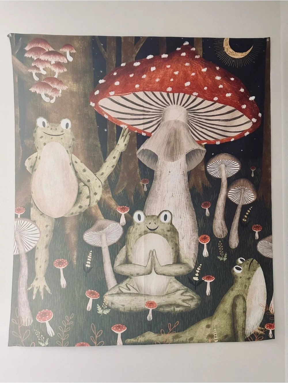 Green Frog & Red Mushroom Tapestry - Whimsical wall art! 🍄